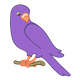 Purple Parakeet on a branch