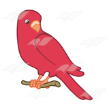 Red Parakeet