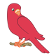 Red Parakeet on a branch