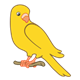 Yellow Parakeet on a branch