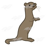Brown Otter