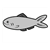 Gray Fish Color PDF