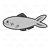 Gray Fish Color PNG