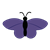 Purple Butterfly Color PNG