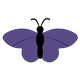 Purple Butterfly with a black body