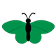 Green Butterfly with a black body