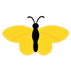Yellow Butterfly with a black body