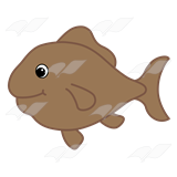 Brown Fish