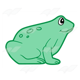 Light Green Frog
