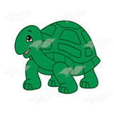 Green Turtle 1