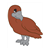 Brown Vulture Color PDF