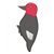 Woodpecker Color PDF