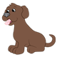 Brown Dog with pink tongue