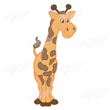 Adult Giraffe