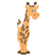 Adult Giraffe orange with brown spots