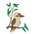 Kookaburra Color PDF