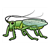 Green Insect Color PDF