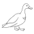 Adult Duck Line PNG
