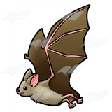 Flying Bat