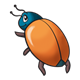 Orange Beetle 