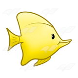 Yellow Angelfish
