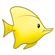 Yellow Angelfish 
