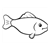 Turquoise Fish Line PDF