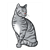 Adult Cat Color PDF