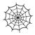 Spider Web Color PNG