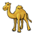 Dromedary Camel Color PNG