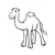 Dromedary Camel Line PDF