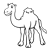 Dromedary Camel Line PNG