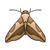 Brown Moth Color PDF