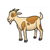 Spotted Goat Color PDF