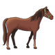 Brown Horse wearing a green bridle
