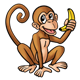 Brown Monkey eating a banana