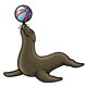 Gray Seal balancing a red and blue ball