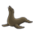 Gray Seal Color PNG