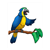 Parrot Color PDF