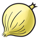 Yellow Onion 