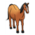Brown Horse Color PDF