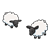 Fluffy Sheep Color PNG