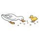 Two Ducks eating grain