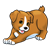 Playful Puppy Color PNG