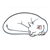Sleeping White Cat Color PDF
