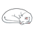 Sleeping White Cat Color PNG