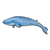 Blue Whale 1 Color PDF