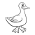 White Duck Line PNG