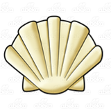Cream-colored Shell