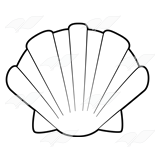 Cream-colored Shell